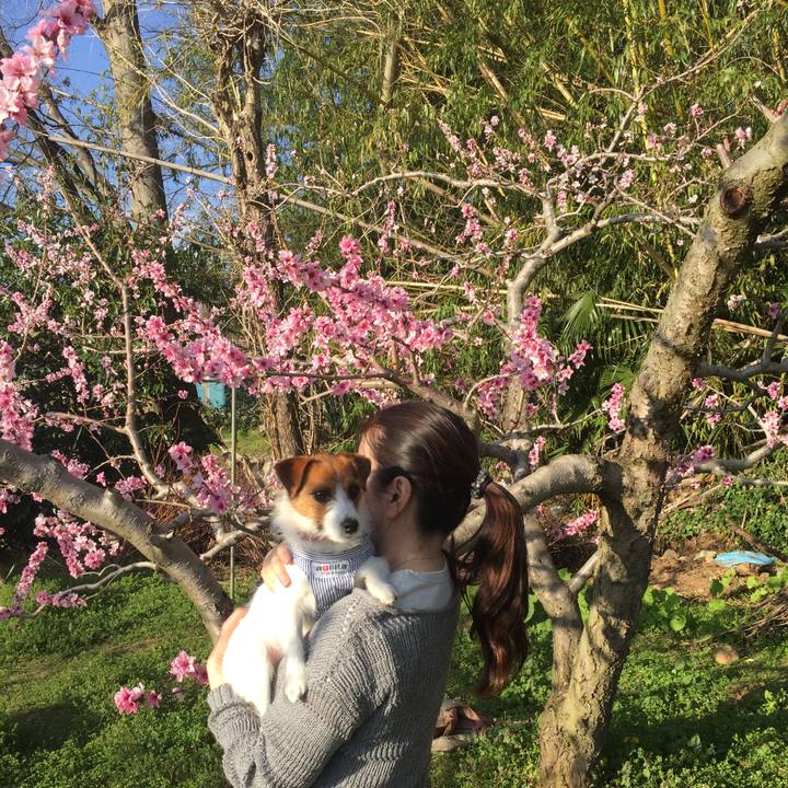 2e160faf 0dbc 4bdc b799 9e7853bad57b