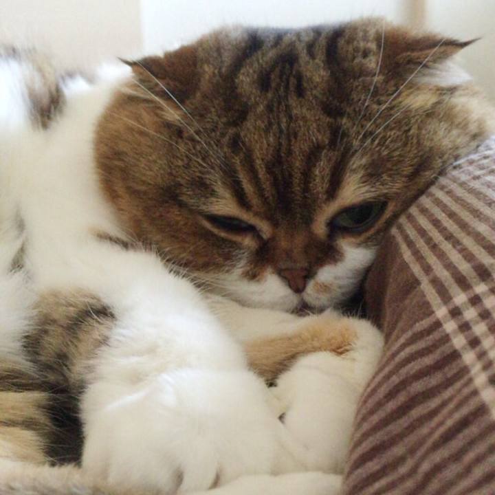 2e16c54d 6451 40aa b854 9a2c3267a7d7