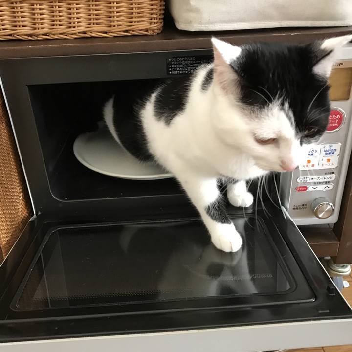 2e172bd1 b263 48fa 9663 e644b679d634