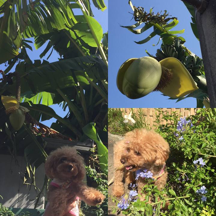 2e179bfd ee4d 4642 b9bf 589cd85596f1