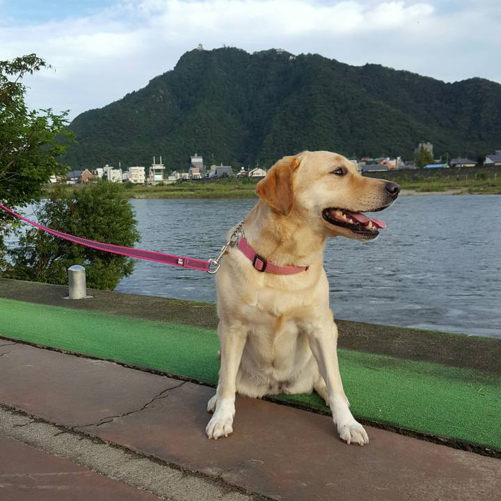 2e181019 5048 48e5 b202 c422e723de7d