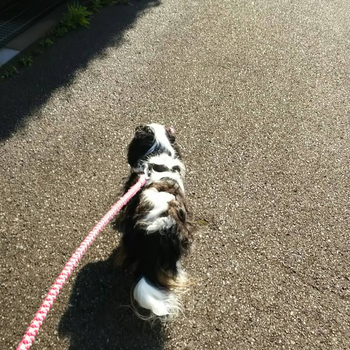 2e18e09a 6994 4804 8c3e ff46bed24e95