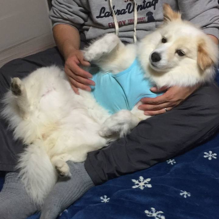 2e19e89e d486 4c33 9660 94784d60f440