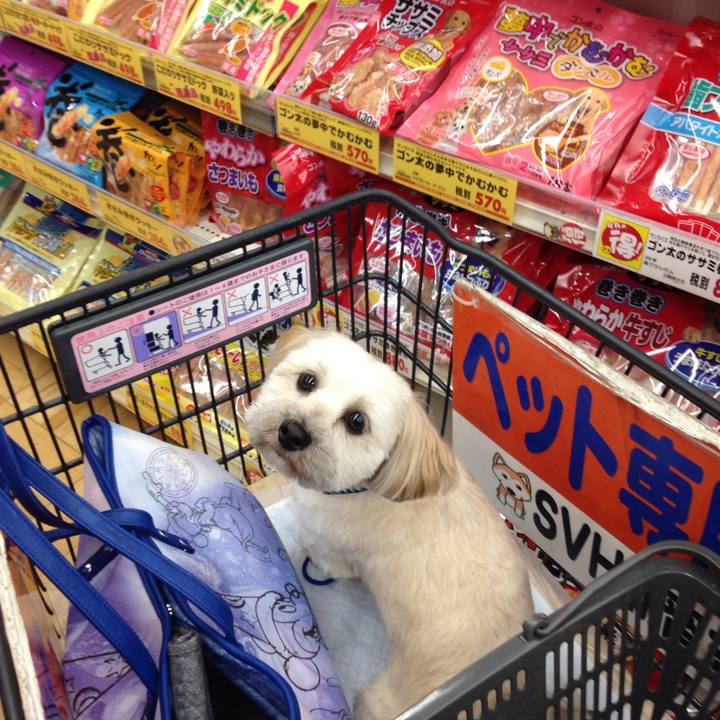 2e1a3e1e 5a48 4c2b b140 125de20e9aee