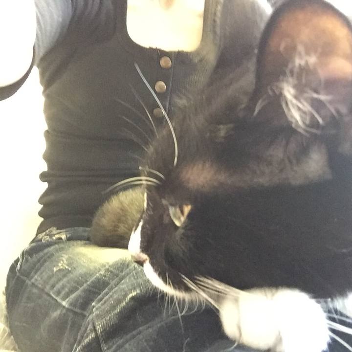 2e1aa117 ddbe 4cad bf5e 1fd38489203a