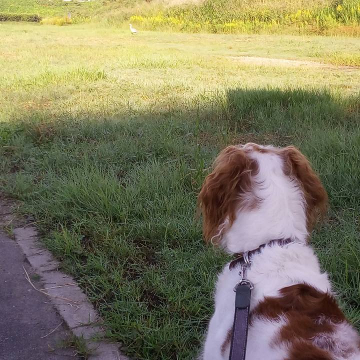 2e1ac2e6 4883 48fe a8d7 596783cee439