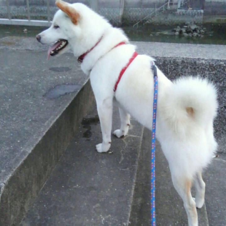 2e1b60a2 5398 41a8 9fc9 94ea4418abbf