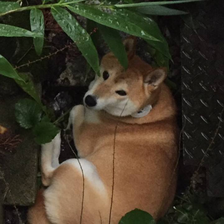 2e1c2bb9 baac 475d 85e3 f6a388901acb