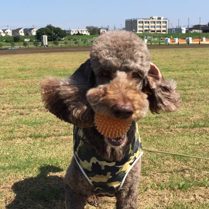 2e1c6c45 94a7 4657 97f6 fe3f2c11a8fa