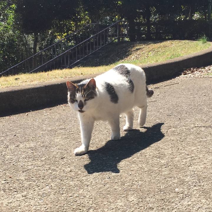 2e1c8fda a008 4b49 96bd 0add32a660a6