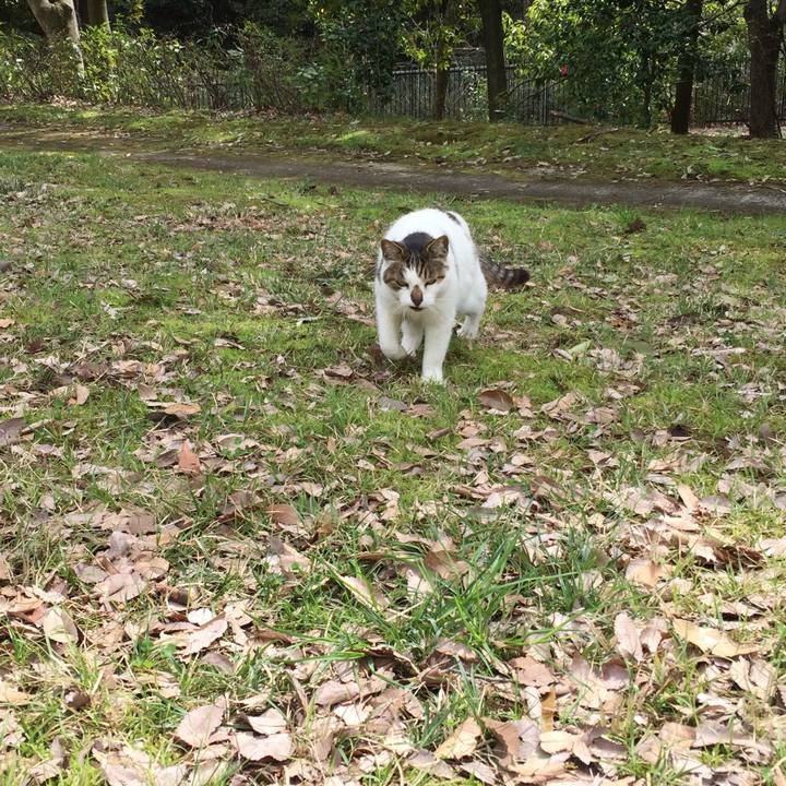 2e1caec5 918f 442e 9ef4 ec6ed06e3bef