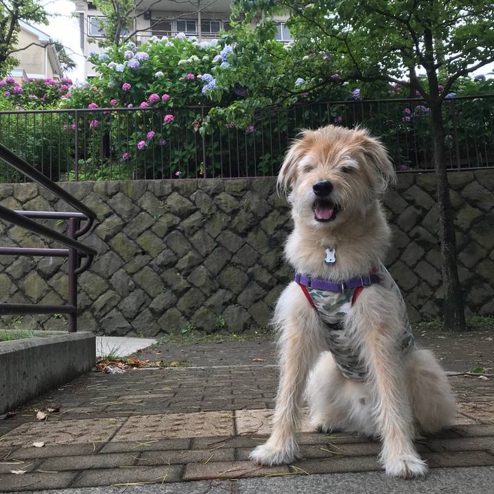 2e1d1e1b e390 4eac 876f e31d2461618d