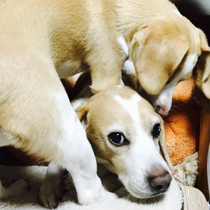 2e1deb6d 868c 4ade 8d27 dbd43c9a3984