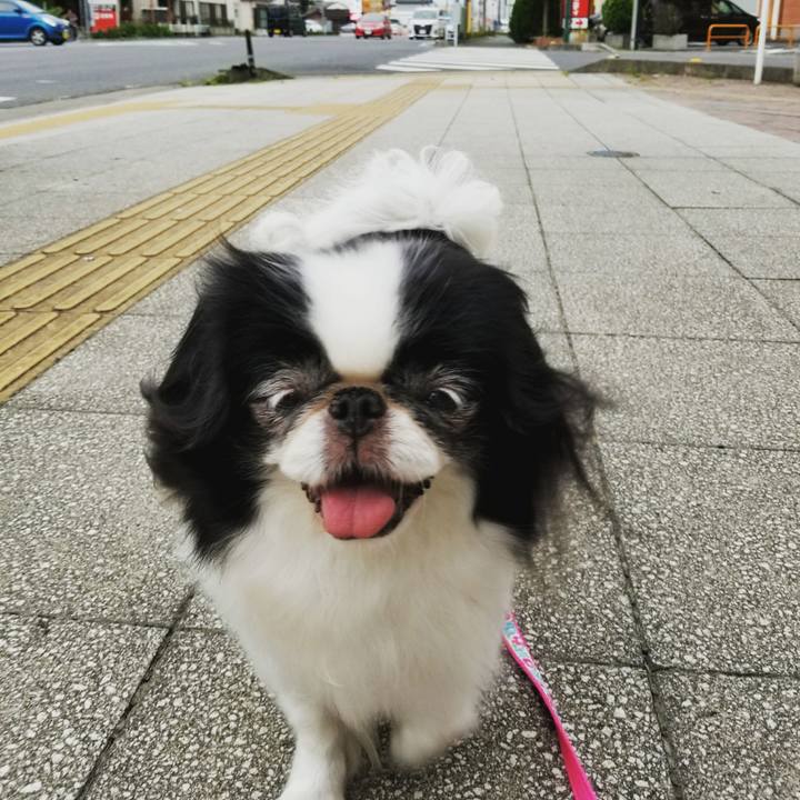 2e1df6fe 6f39 4b50 b9f6 2dfc2b98354e