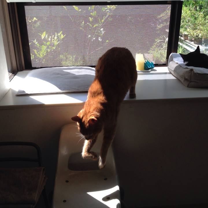 2e1ece44 69be 4886 a57e 86f178aadf32