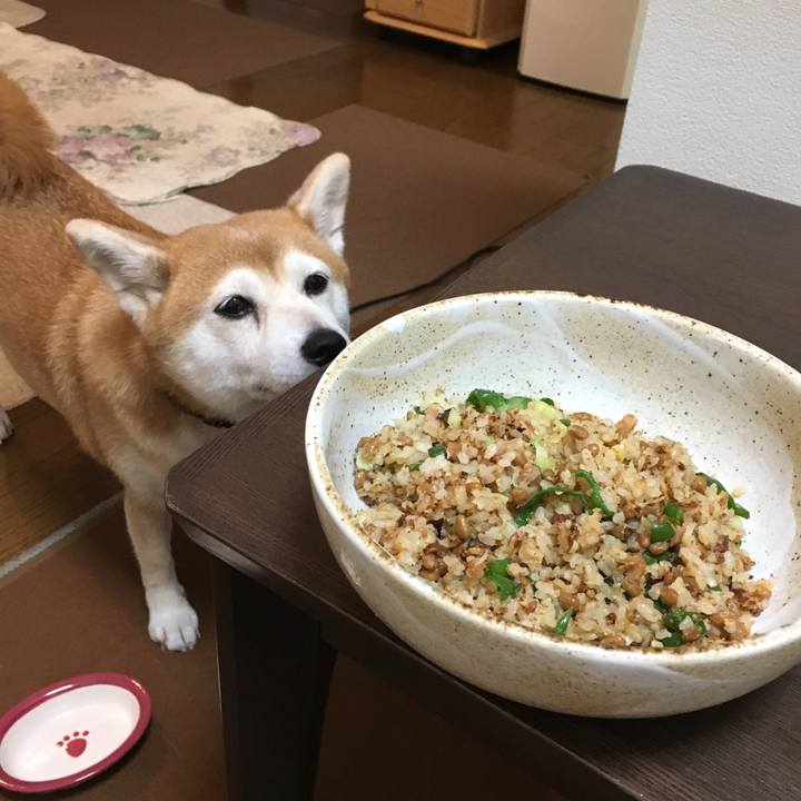 2e1f0b9b 8cb6 408b 9bf2 7e98e3582e31