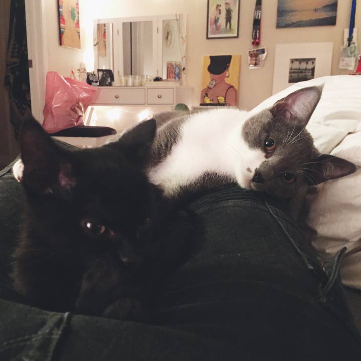 2e1f0c22 2d0f 403d 8cc2 b87e3c9f075b