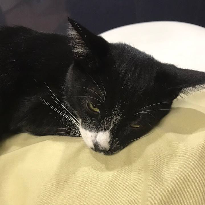 2e1f11d6 9cad 40cc b9d9 a209a739a215