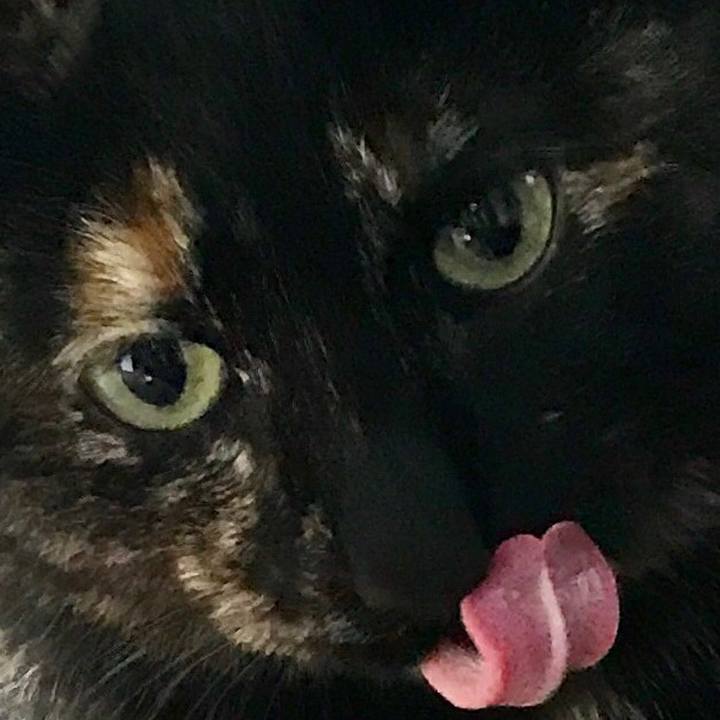 2e1fa30c 4ff8 4b4f aec9 facffe144100