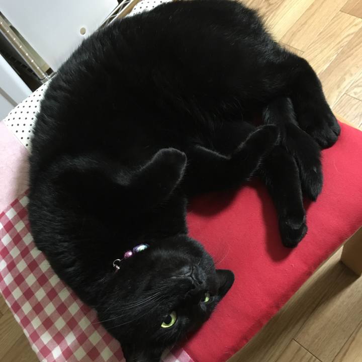 2e2081e3 383e 45e5 b055 b79ac6c7e857