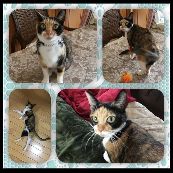 2e2090e1 8cd1 4f11 925f 1c08df3ca4f2