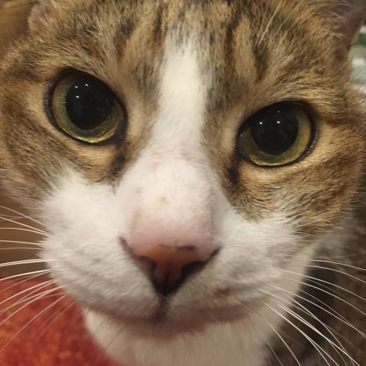 2e224676 50ef 43bd b69c 015fc278d629