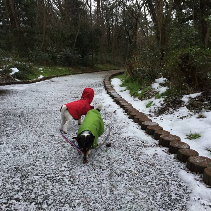 2e2278d1 17f5 4035 be8d d79f4ffaf8f4