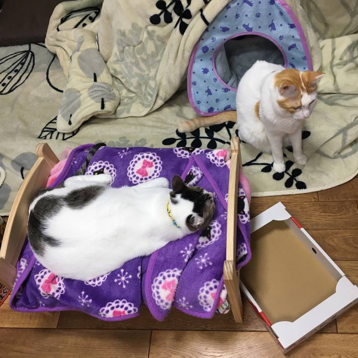 2e236872 d667 4165 ba27 d24f28629828