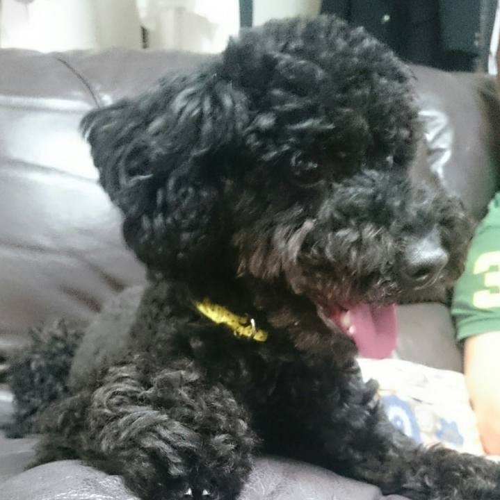 2e239d8a 5e37 4a43 9f63 23439e09486f