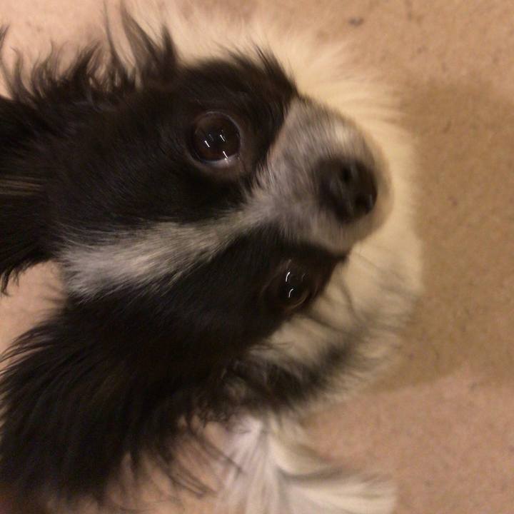 2e2404f3 c629 441a 9325 b6fac571990d