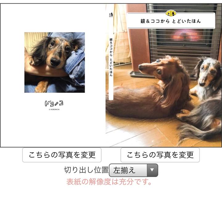 2e244d0d f5bd 4964 8313 74c4036c39d0