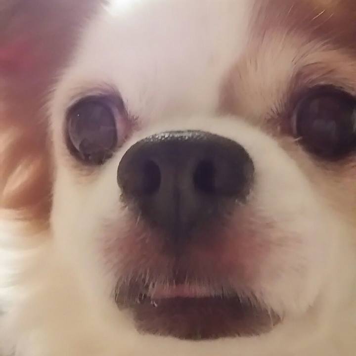 2e244f9a a874 404e 89d4 57555a11a1d4