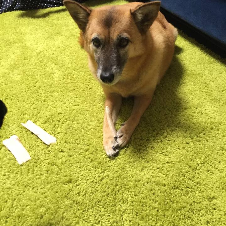 2e247de8 c18c 40d7 9ae8 d4aada91d209