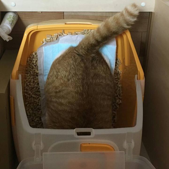 2e24c2d2 620f 40ba 800f c83af20e7ad6