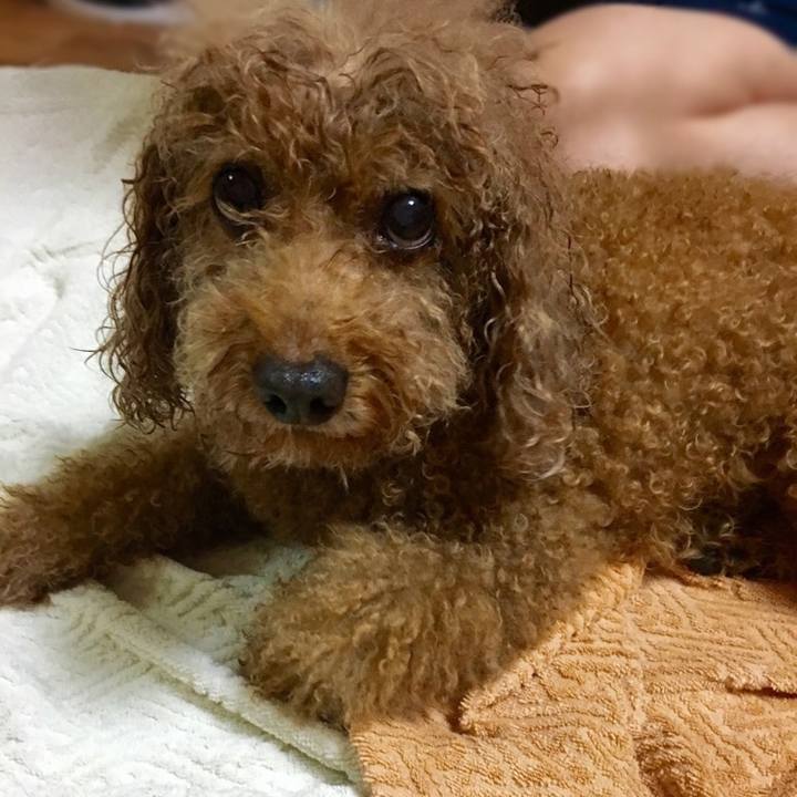 2e24c889 8532 4382 a19e 5a337582ed0f