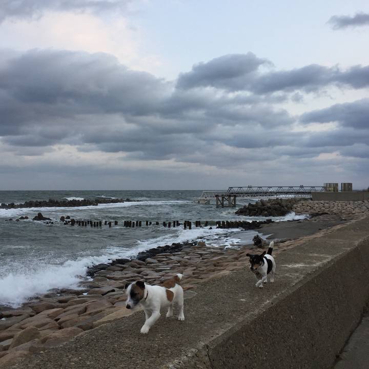 2e25736f bd58 428b bf27 f4b2f471da37