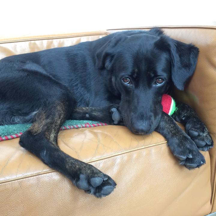 2e25a0f4 aef9 4359 9635 de5a1a182400