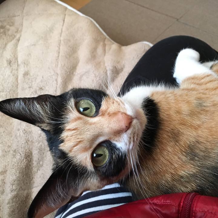 2e25d35d 5ec2 41a0 b947 12b09117d1ec