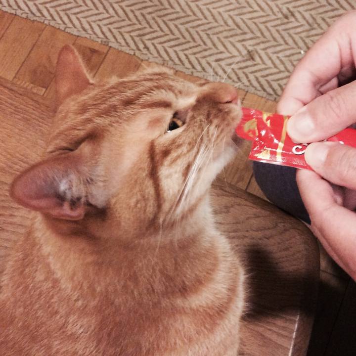 2e260c06 cc11 48c2 ac35 b44b5a72745e