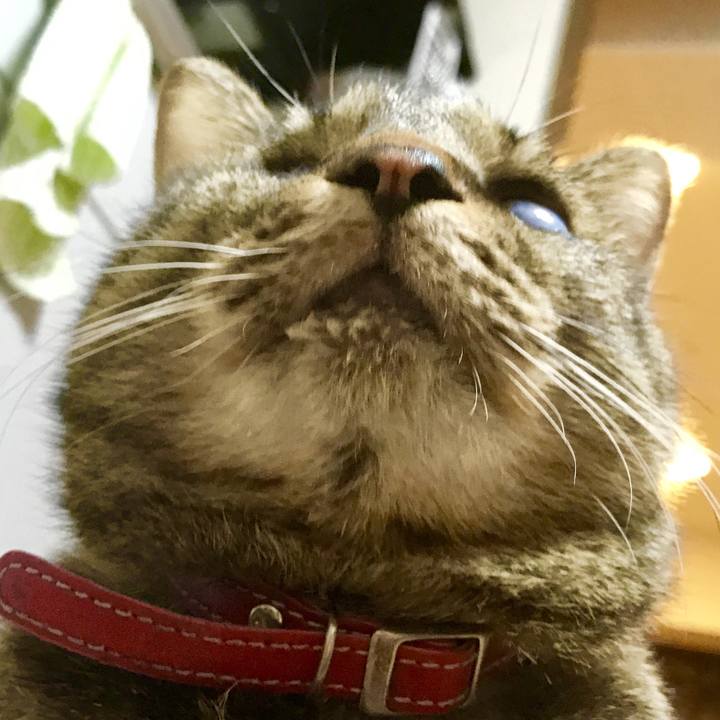 2e261613 14a4 4388 a94e 7b44445054c8