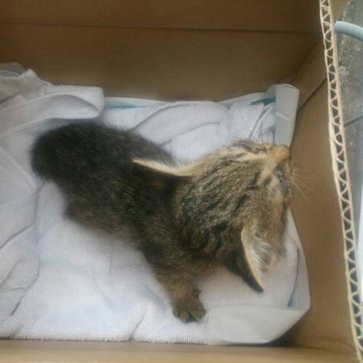 2e2634b0 53b2 45cb a3ad d88bedd7e645