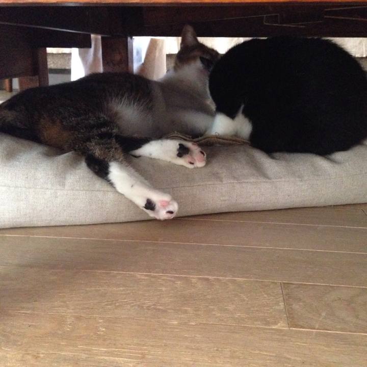 2e270a33 7257 43ed 8219 0d3d3f189c18