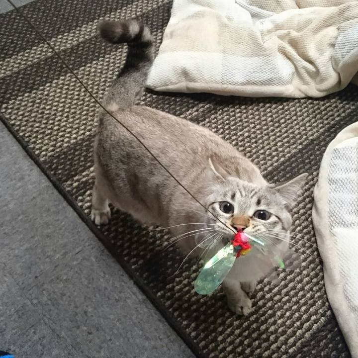 2e271cea cb17 46c0 aa18 fc366d1abadf