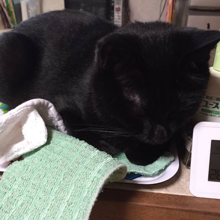 2e27236b fc02 476d 9e6c 2e58aae70469