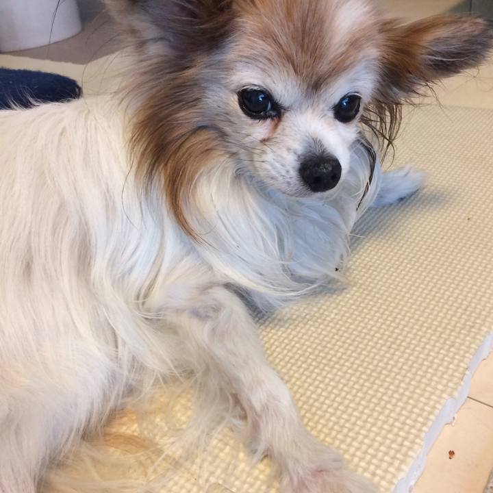 2e273f3a 7a39 4ea6 a47a 3dc3a9d4fb06