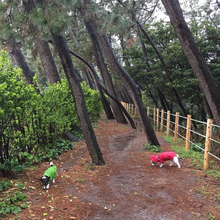 2e275b51 2f19 420a 9c86 5ac629debd8b