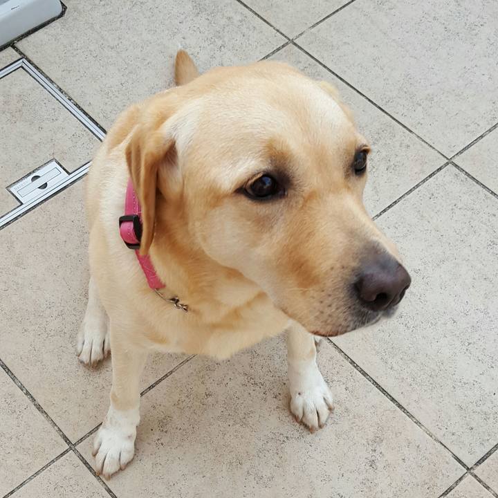 2e27b337 e0c9 4116 bb8a 8e2418b23625