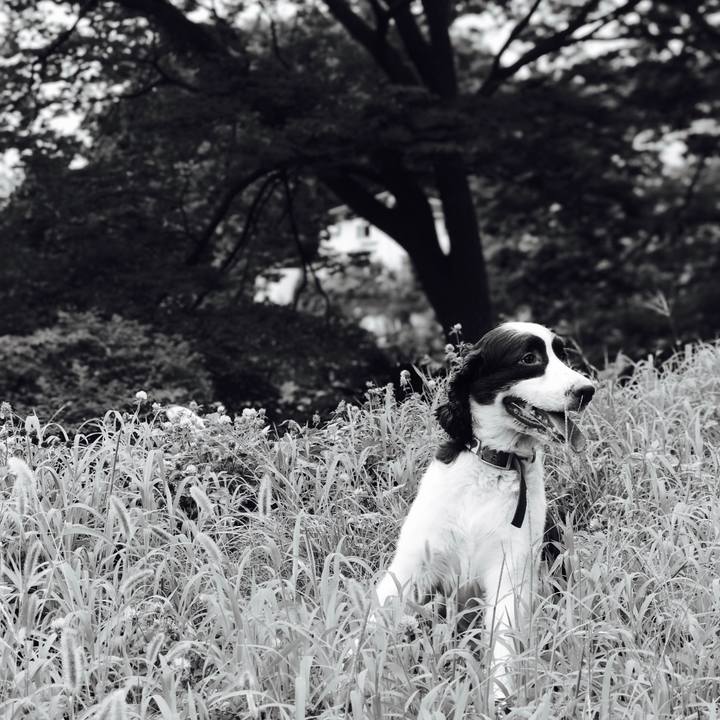 2e27eac6 0429 4b62 9e16 7ee2ec3ba632