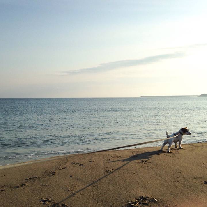 2e27ff3c 5248 46ed ae4b b6af602b0d5f