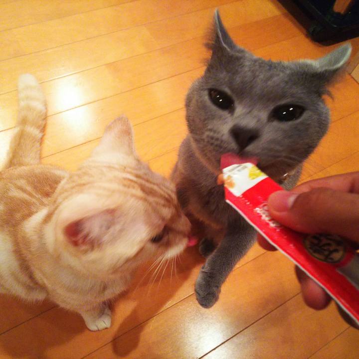 2e282b41 3e28 42bf 9c10 283fa33c56ee